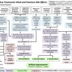 Asthma medications inhalers allergy